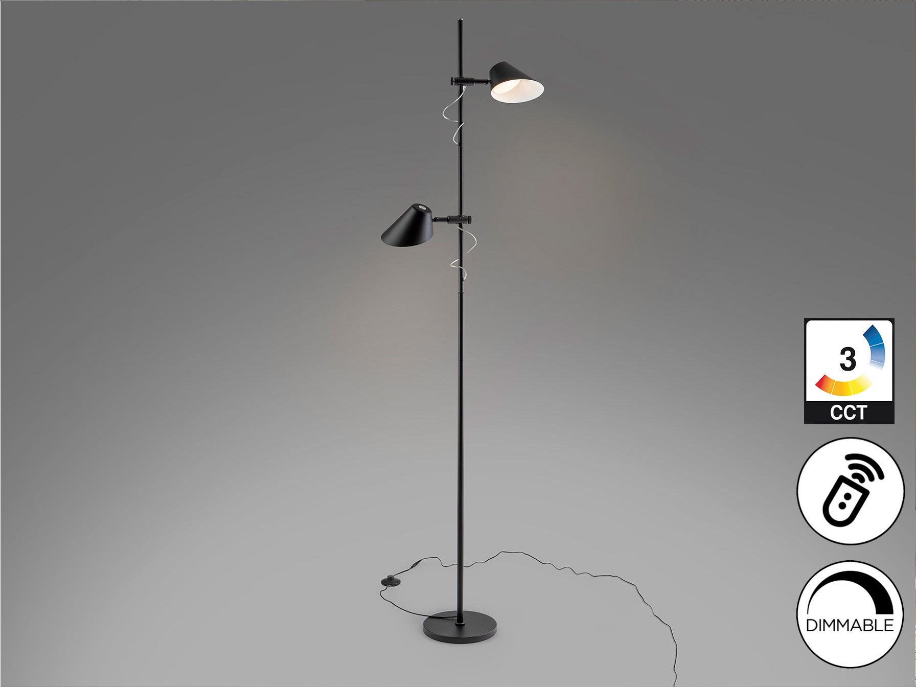 Esino 2Lt Floor Lamp- Black/ White Finish