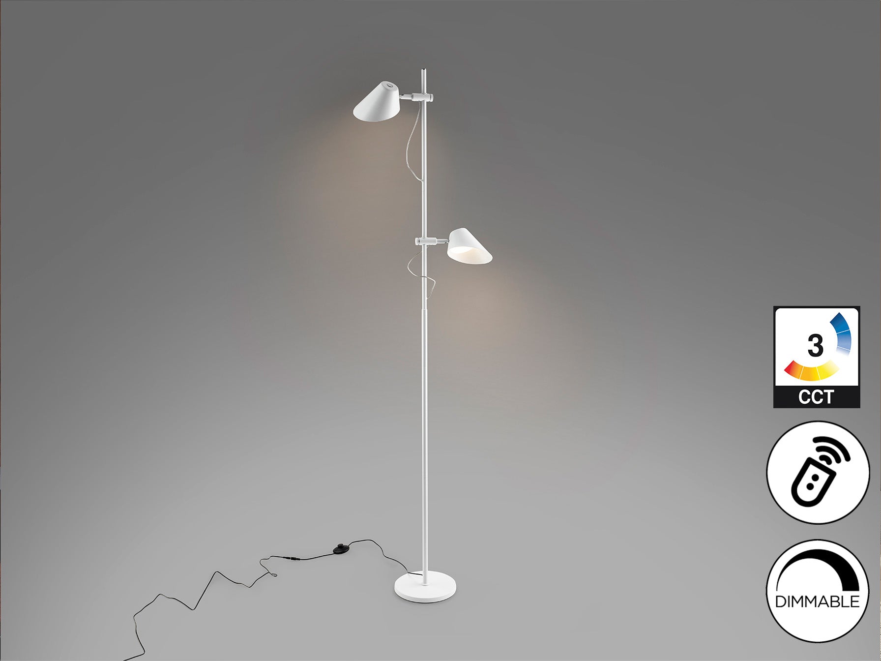 Esino 2Lt Floor Lamp- Black/ White Finish