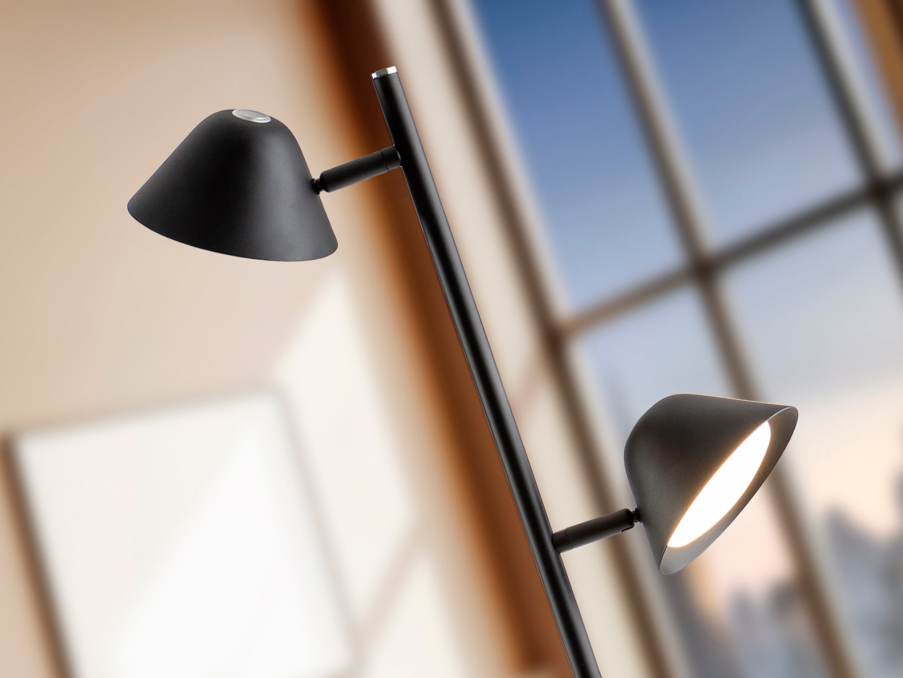 Taros 2Lt Floor Lamp- Black/ White Finish