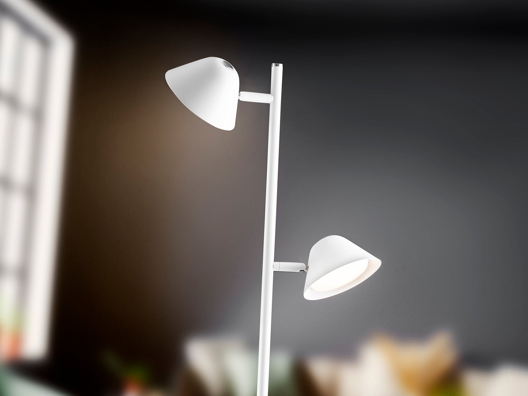 Taros 2Lt Floor Lamp- Black/ White Finish