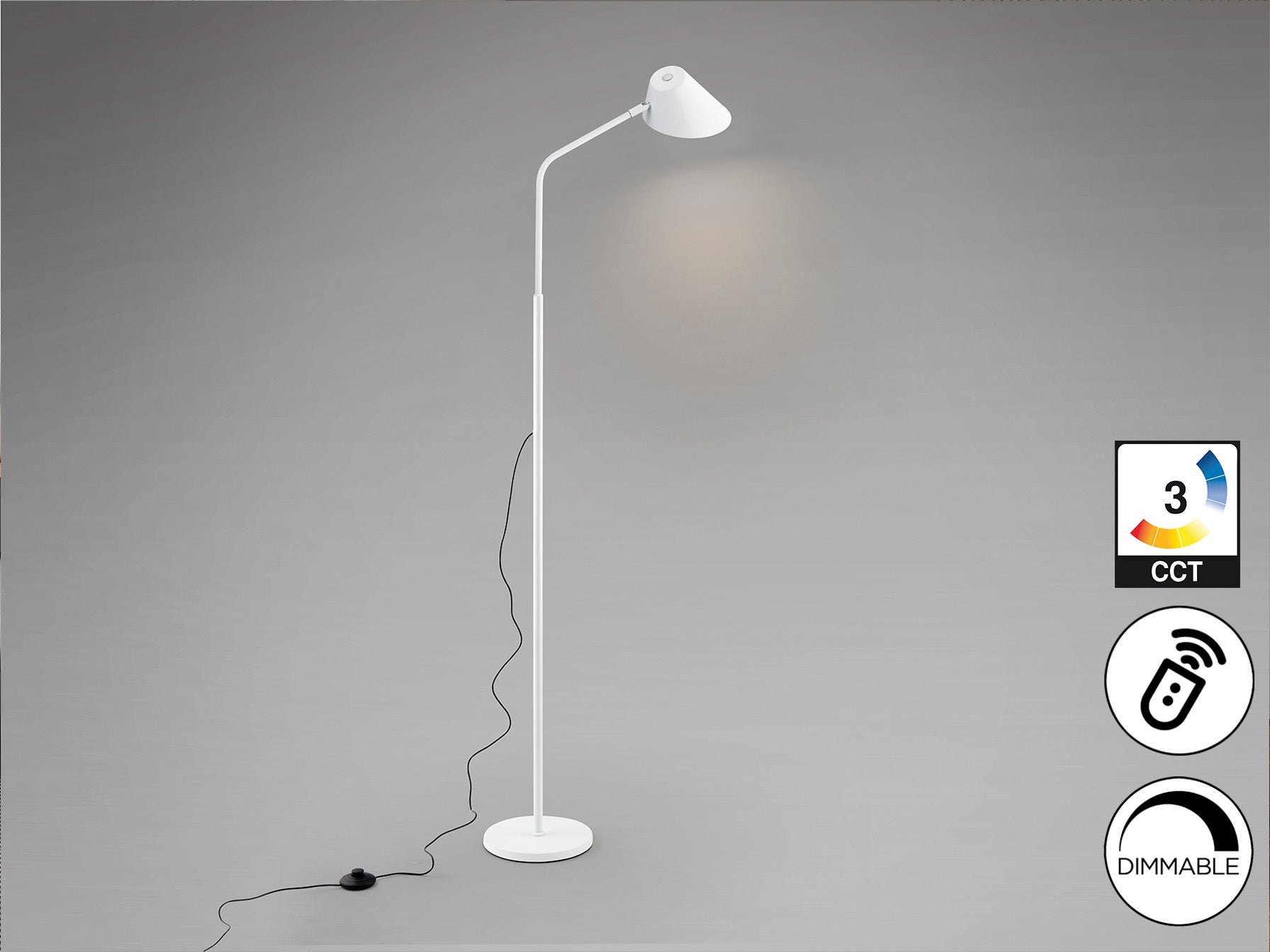 Esino 1Lt Floor Lamp- White Finish
