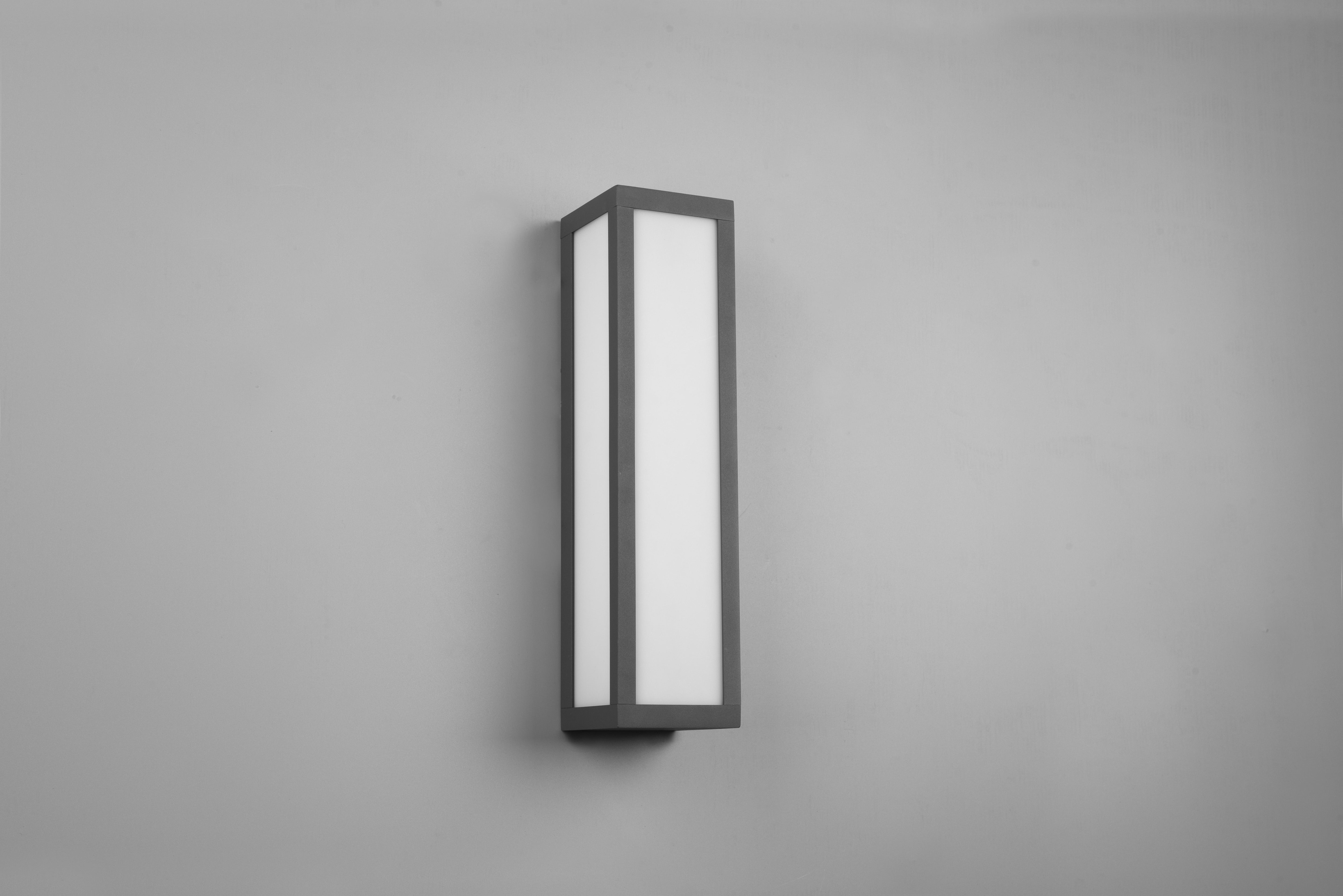 Fuerte Anthracite IP54 Outdoor LED Wall Light