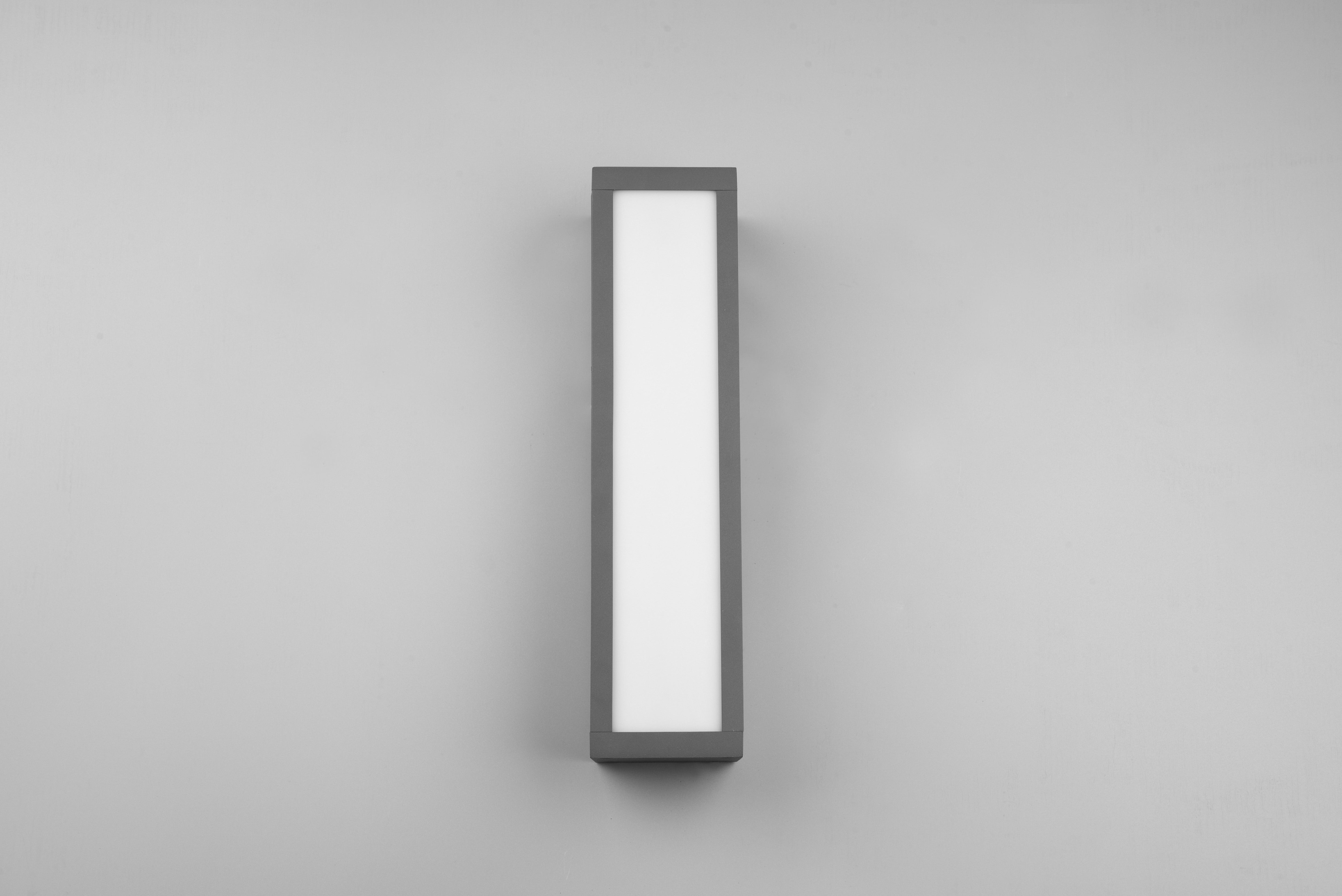 Fuerte Anthracite IP54 Outdoor LED Wall Light