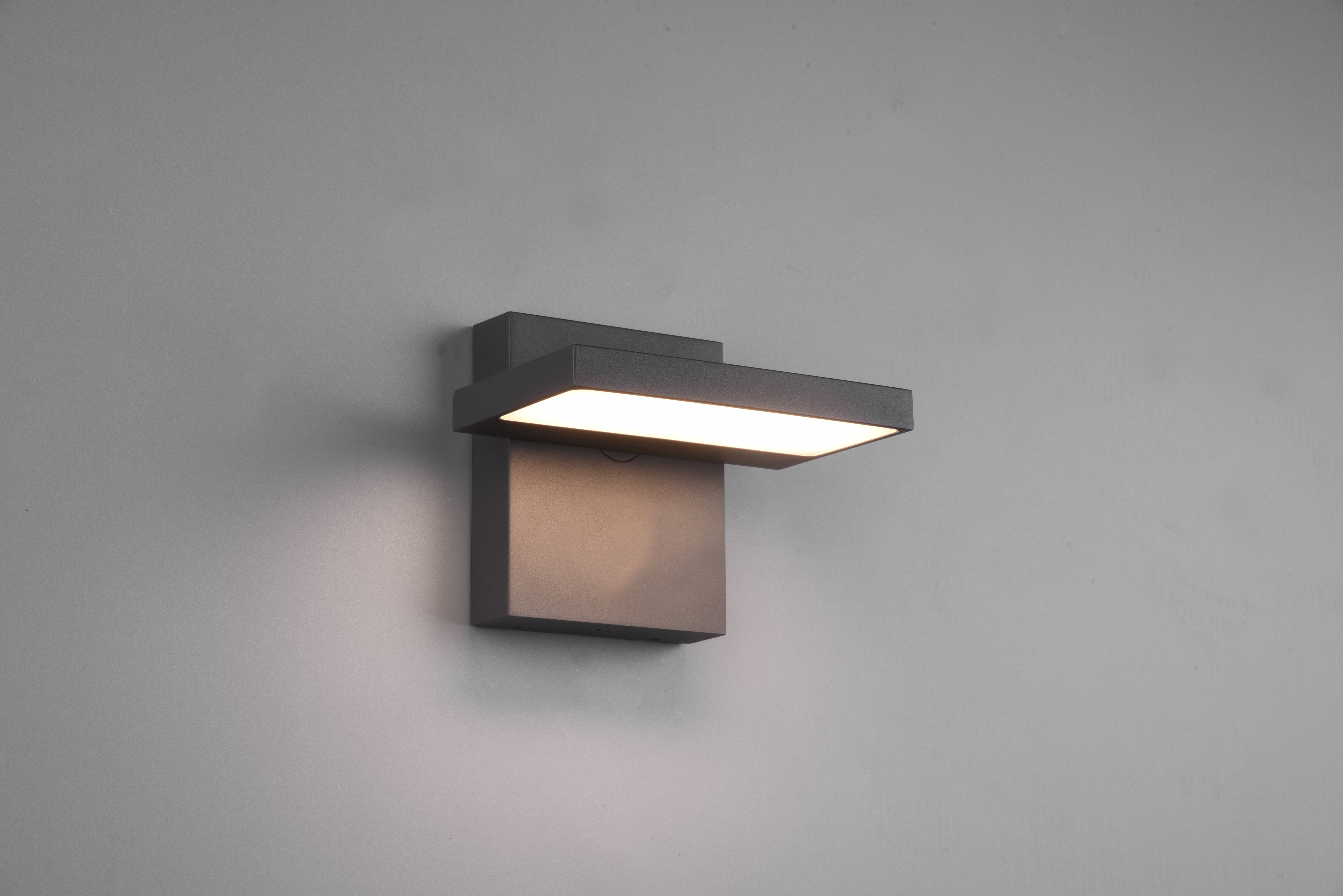 Horton Anthracite IP54 Outdoor LED Wall Light