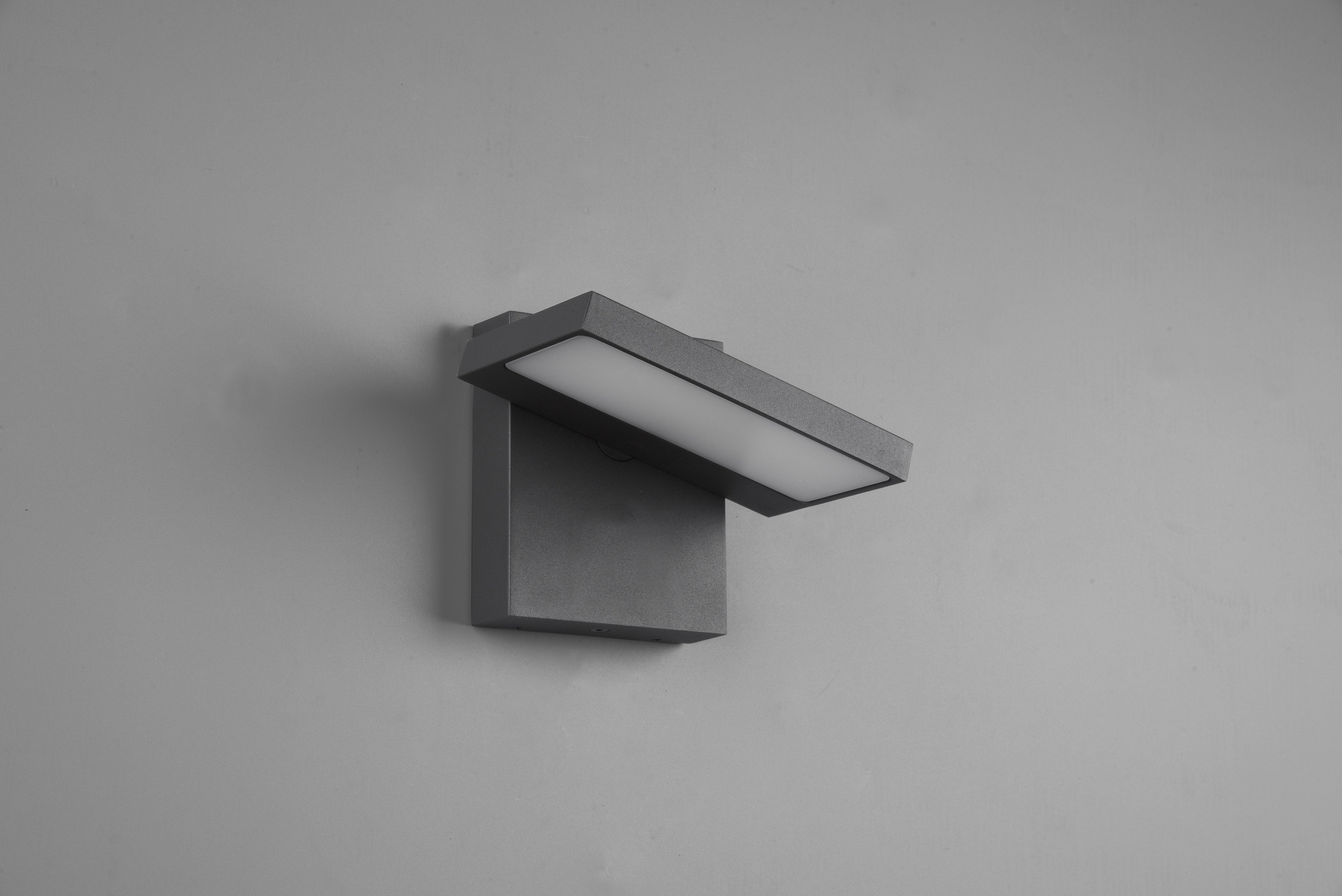 Horton Anthracite IP54 Outdoor LED Wall Light