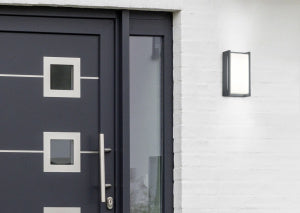 Indus Anthracite IP54 Outdoor LED Wall Light