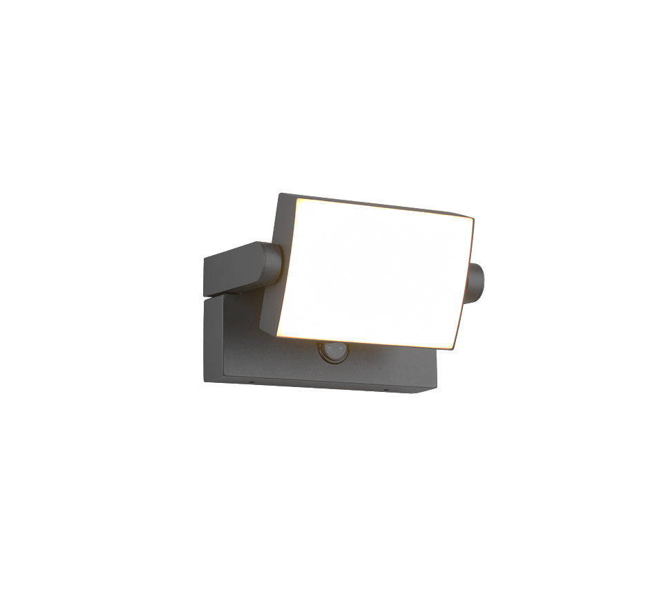 Kansas PIR Motion Sensor Outdoor Light