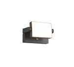 Kansas PIR Motion Sensor Outdoor Light