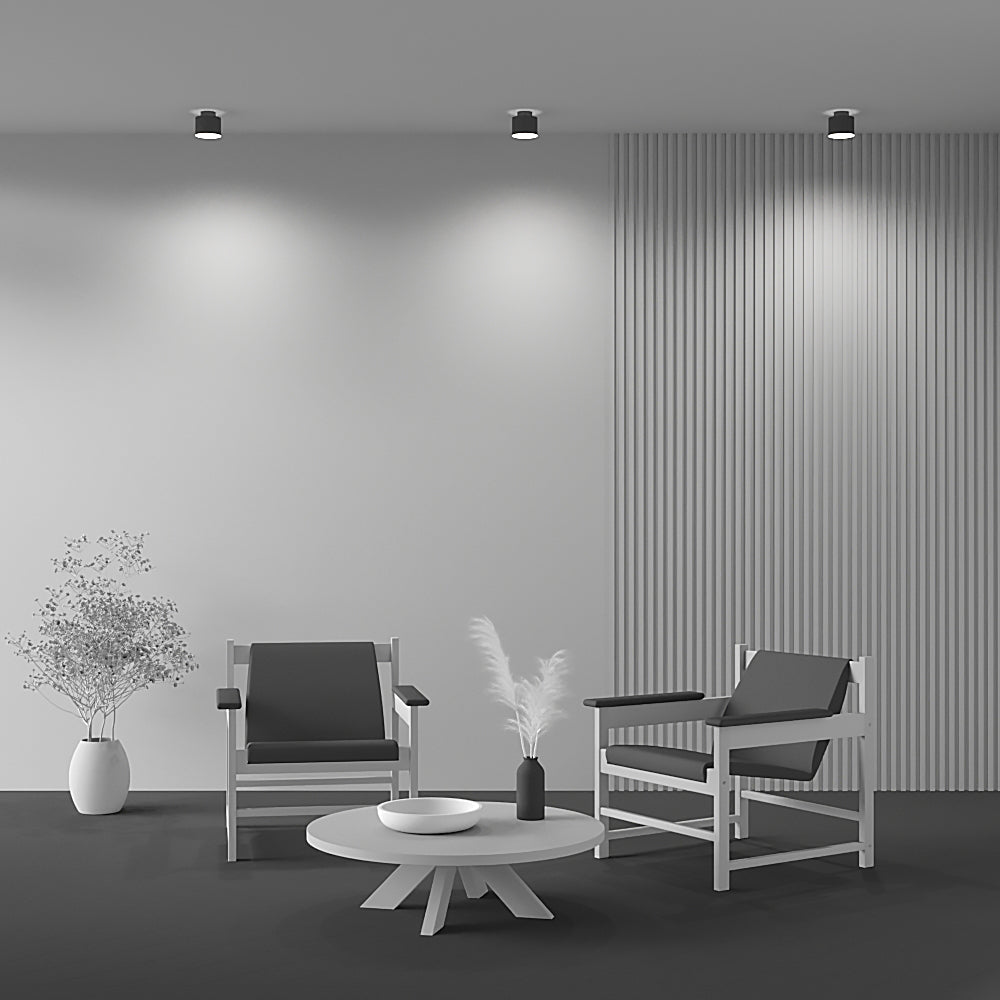 Planet Ceiling lamp Black/White - Finish