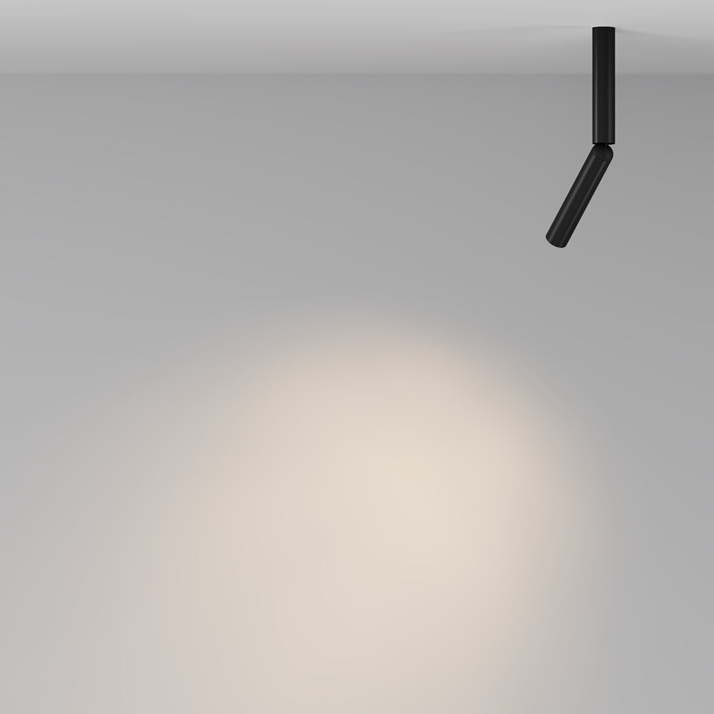 Focus T Spotlight- Brass/ Black