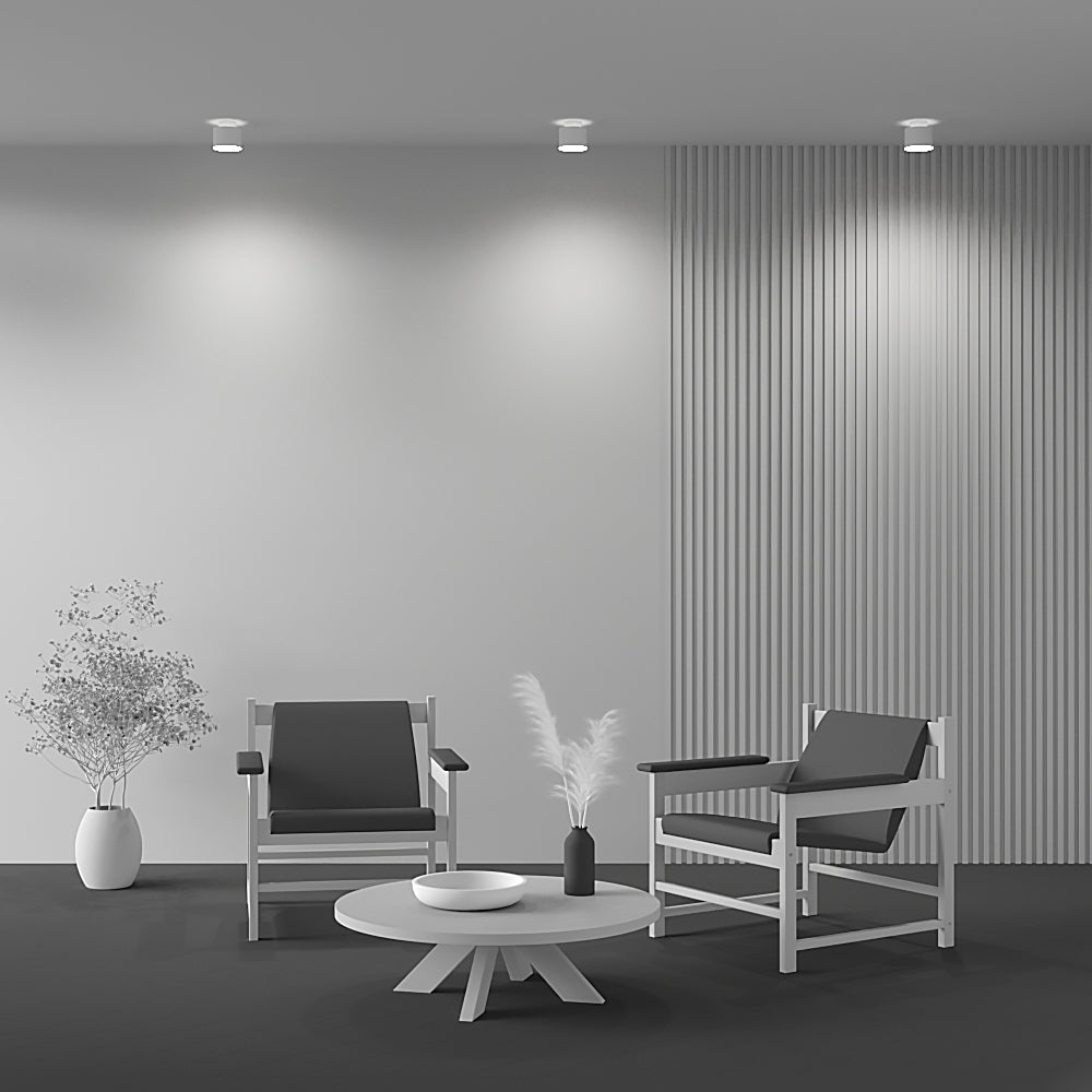 Planet Ceiling lamp Black/White - Finish