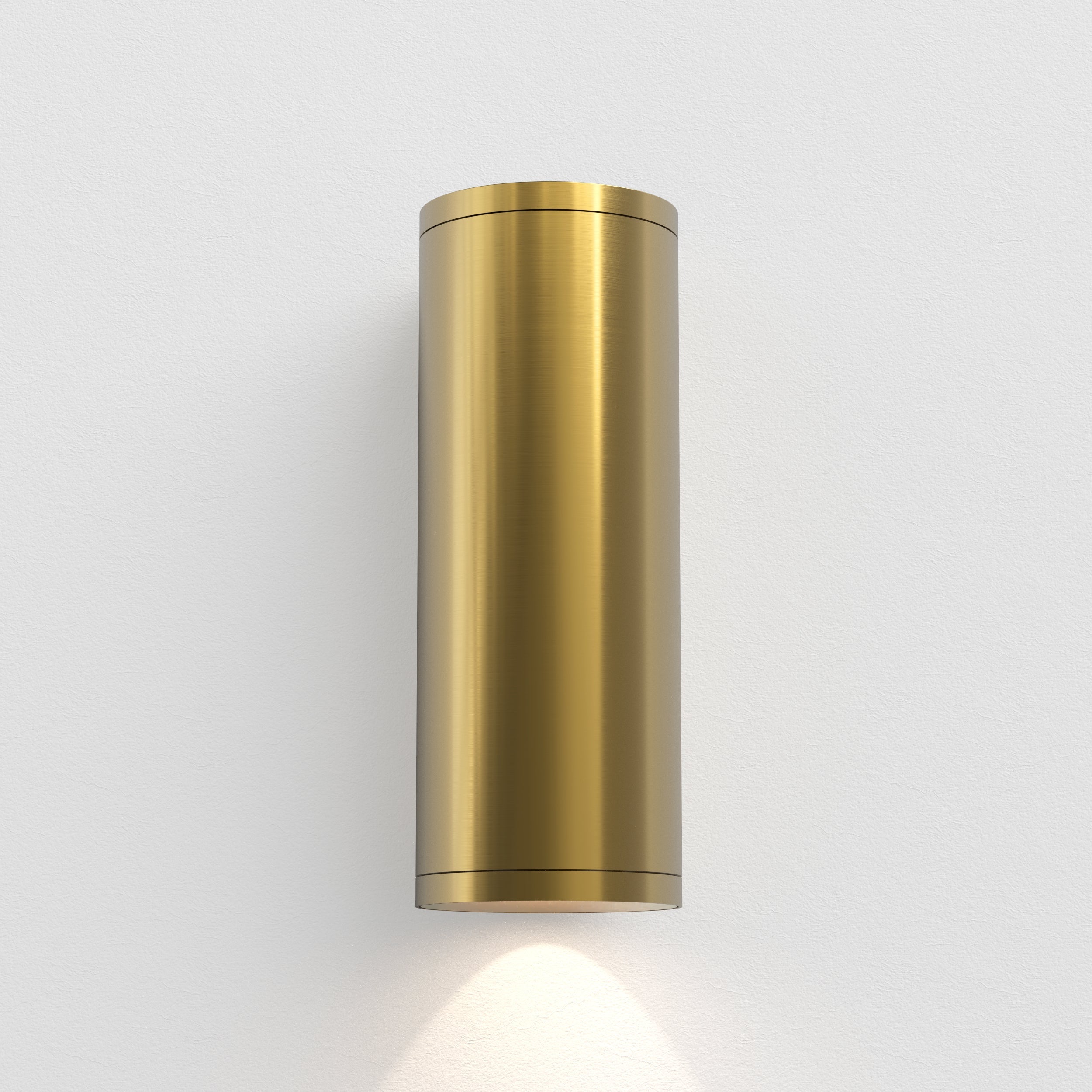 Ava 1/2Lt Coastal Coastal Wall Light in Brushed Stainless Steel/PVD Brushed Brass GU10 IP44