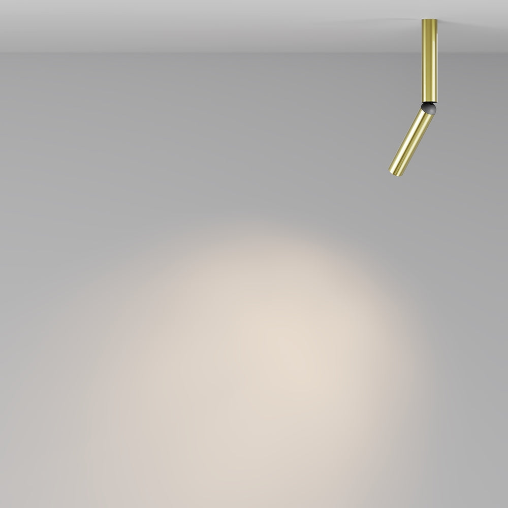 Focus T Spotlight- Brass/ Black