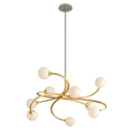 Signature 9Lt Chandelier