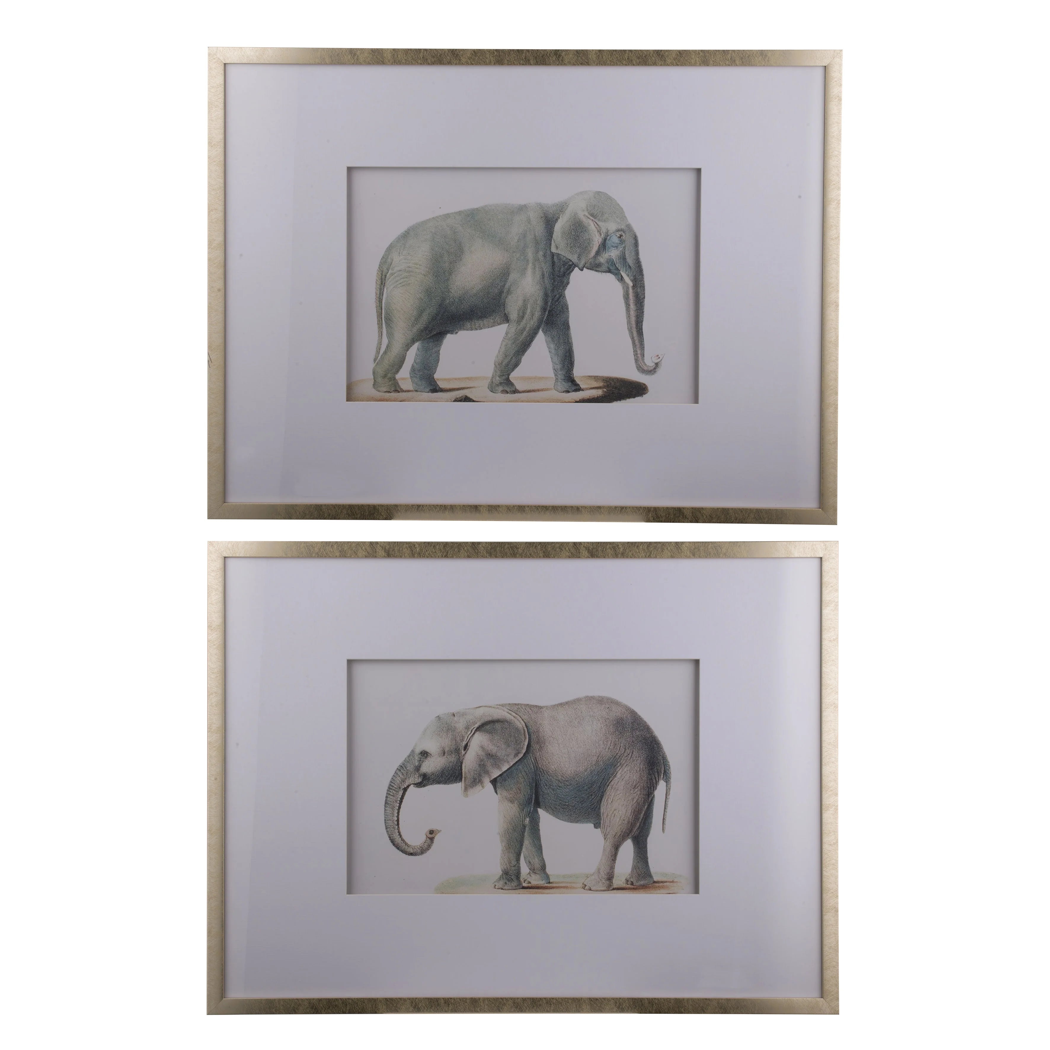 Elephant Set Of 2 Pictures