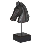 Black Horse Head