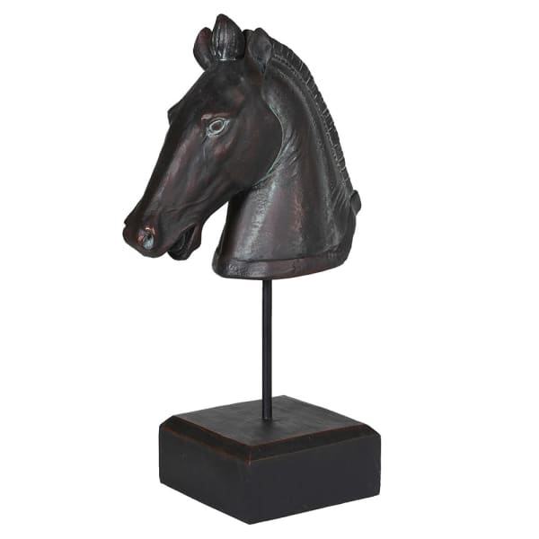 Black Horse Head