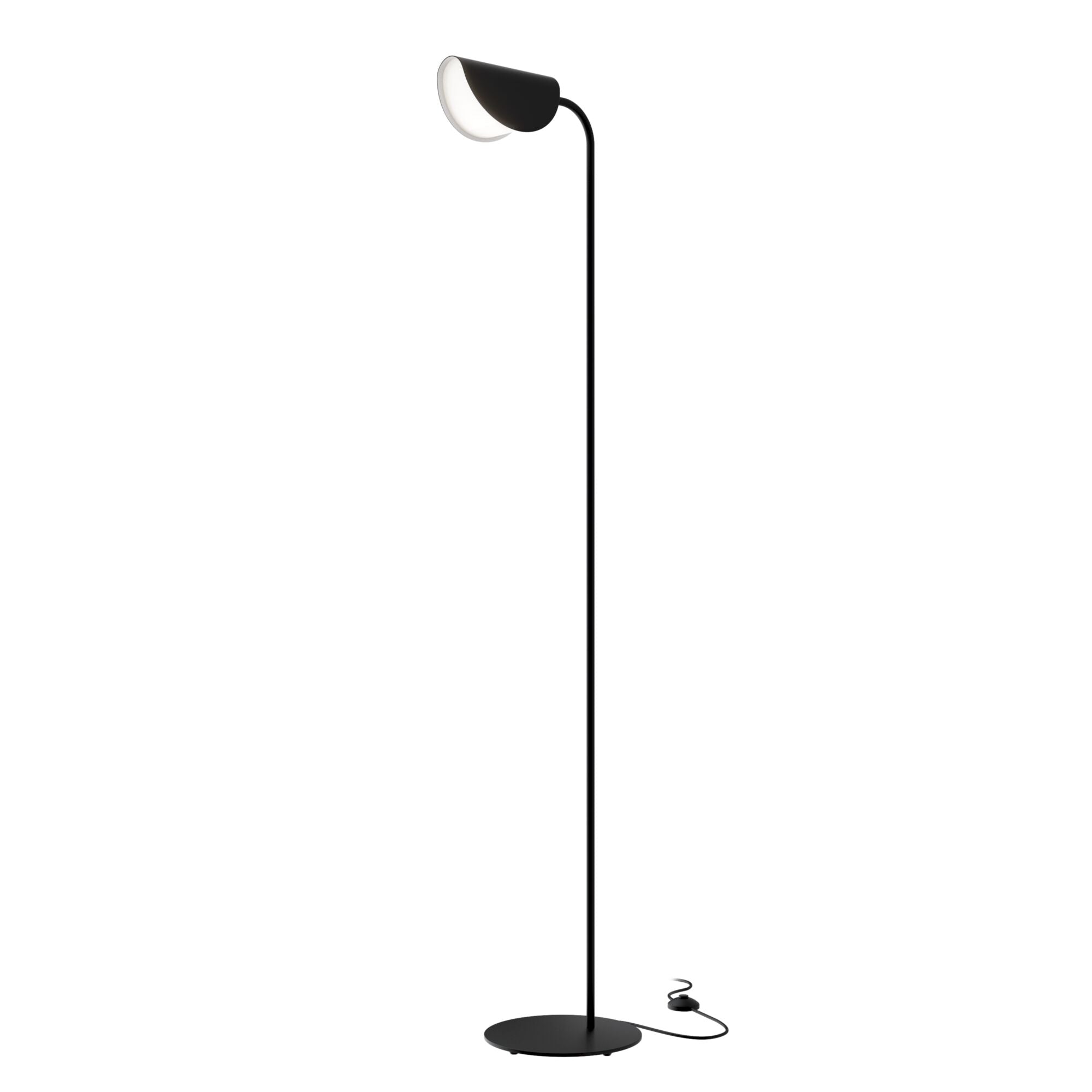 Mollis Floor Lamp - Black Finish