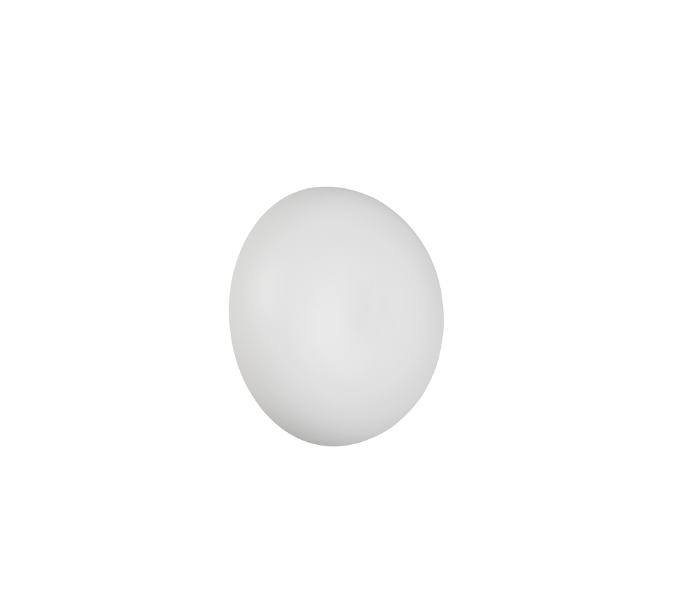 Davey Wall Light- Various Colors