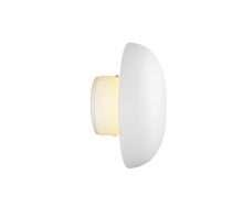 Davey Wall Light- Various Colors