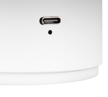 Davey Wall Light- Various Colors