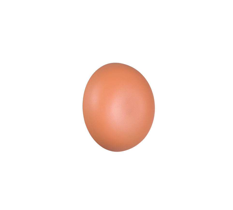 Davey Wall Light- Various Colors