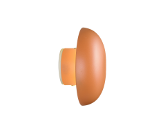 Davey Wall Light- Various Colors