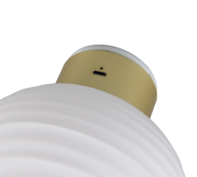 Earl Wall Lamp- Various Colors