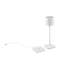 Fernandez LED Outdoor Rechargeable Table Lamp - Various Colours