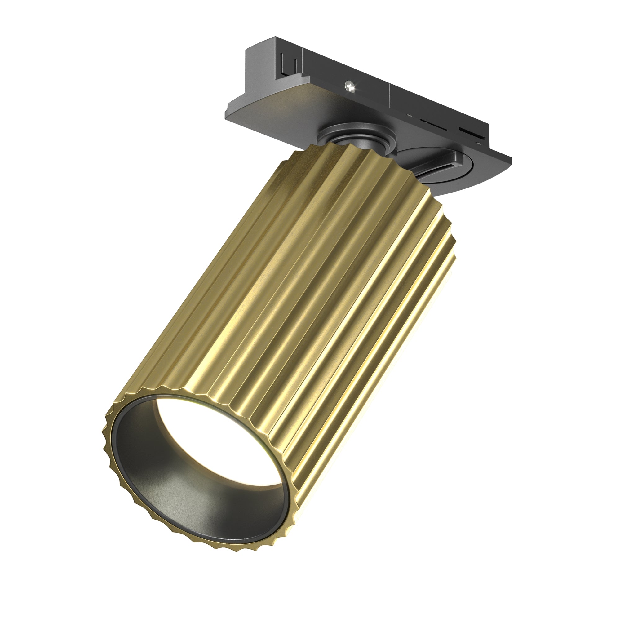 Calipso Unity Track Lighting GU10