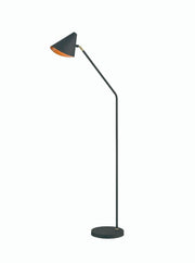 Luminance Floor Lamp with Adjustable Head
