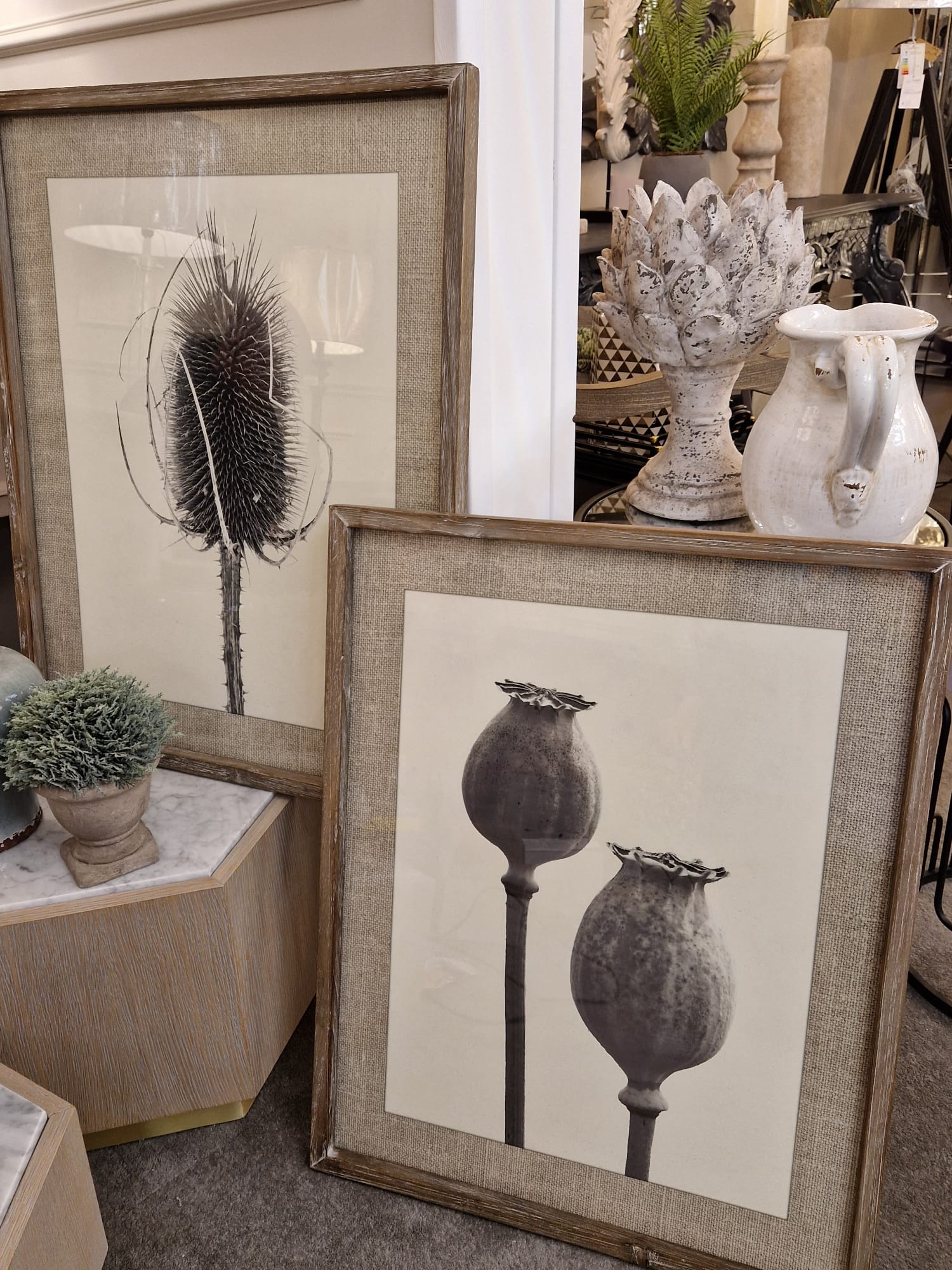 Pair of Poppy and Teasel Prints