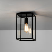 Homefield Outdoor Ceiling Light
