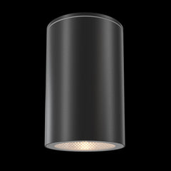 Ceiling lamp Roll Black - Finish