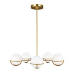 Apollo 5Lt Multi-Arm Pendant - Burnished Brass/Polished Nickel
