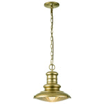 Redding Station 1 Light Medium Chain Lantern - Painted Distressed Bronze/Restoration Bronze IP44 E27