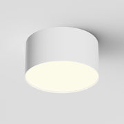Zon Ceiling  Spotlight