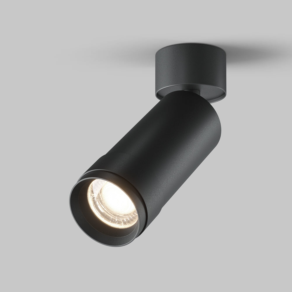 Zoom Focus Ceiling Light- Black & White Finishes
