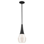 Deela 1 lt Ceiling Pendant - E27