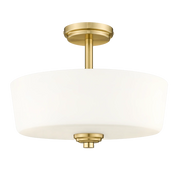 Aspen 3Lt Semi Flush Fitting - Black/Brass