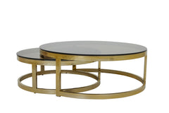 Milagro Coffee Table - Brown Glass & Light Gold Finish