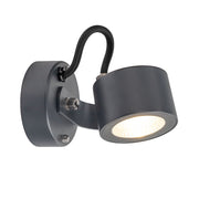 Moss LED Wall Light - Graphite