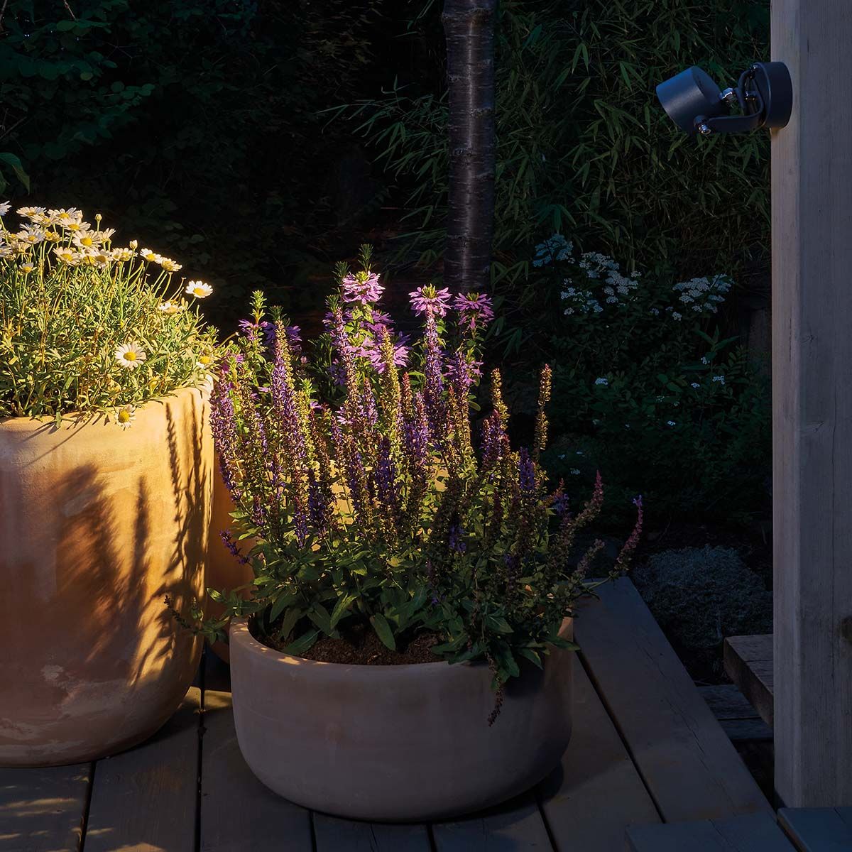 Moss LED Wall Light - Graphite