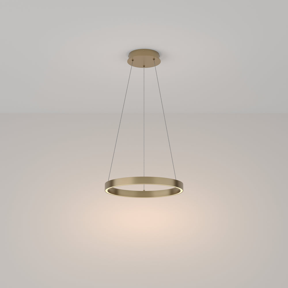 Rim 1 LED Pendant Ceiling Light  - Black / Gold, Various Sizes