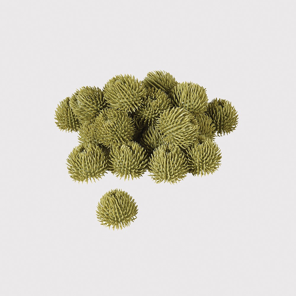 Olive Green Echinops Balls - Bag of 24