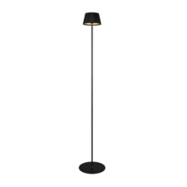 Rechargeable Floor Lamps