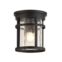 Outdoor Flush Ceiling Lights