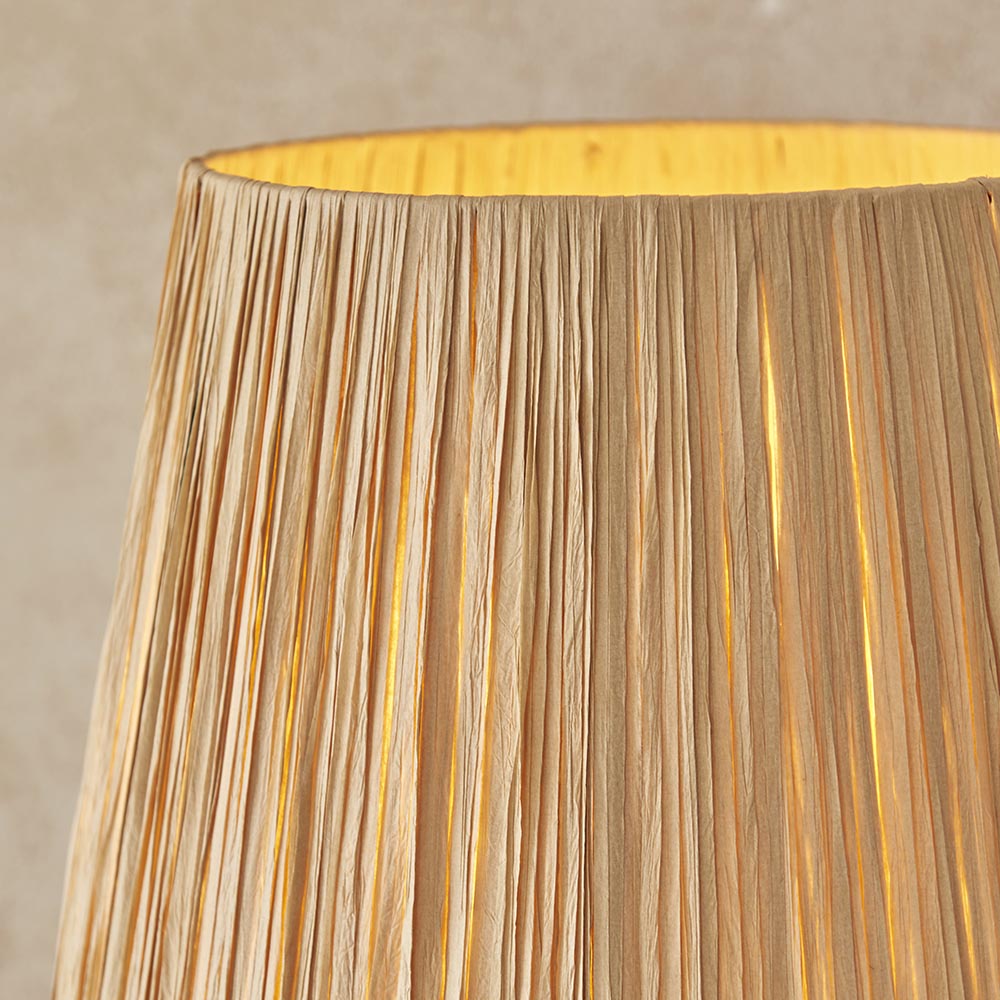 Canopus Floor Lamp - Matt Black/Aged Brass Finish E27
