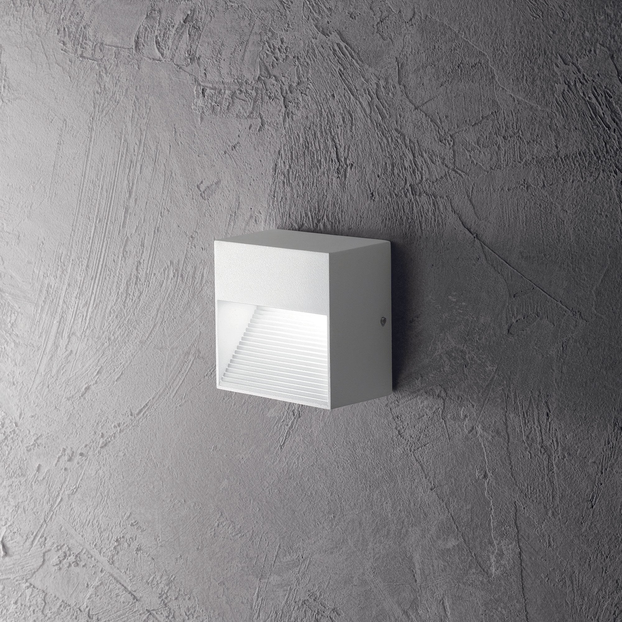 Down Outdoor Wall Light- Anthracite/ White Finish
