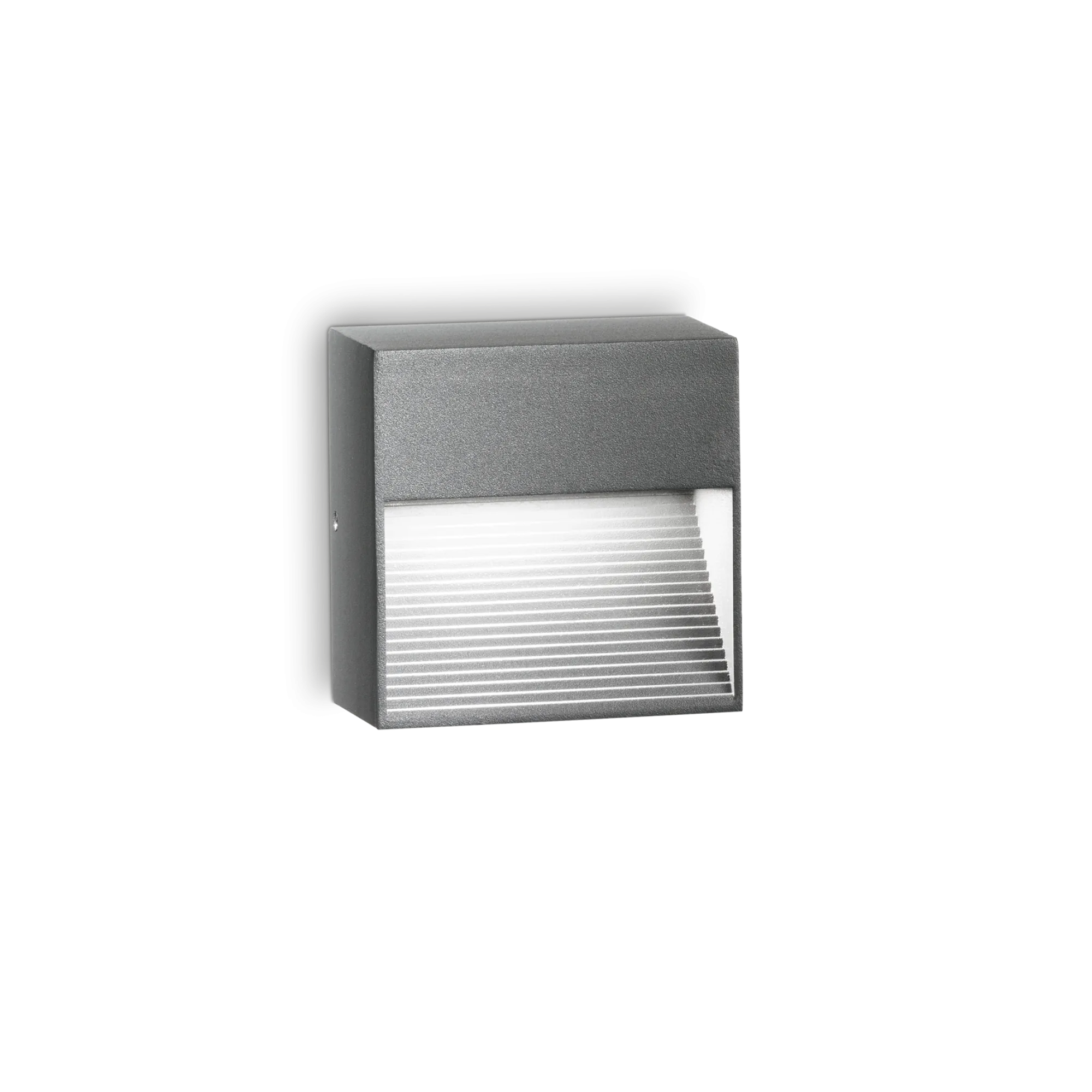 Down Outdoor Wall Light- Anthracite/ White Finish